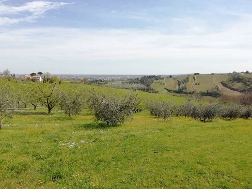 빌라 / Cesena, Provincia di Forlì-Cesena