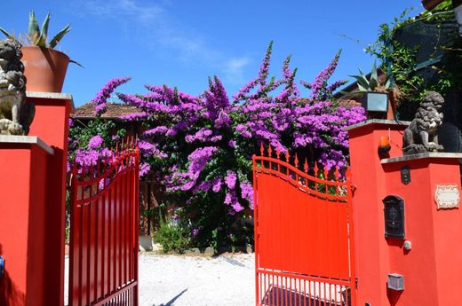 Villa Forte dei Marmi, Lucca ilçesinde