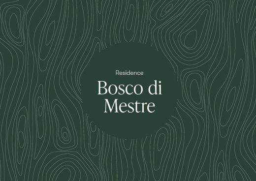 别墅  威尼斯, 威尼斯省