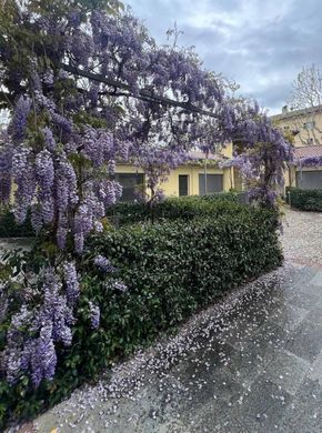 Villa in Montano Lucino, Provincia di Como
