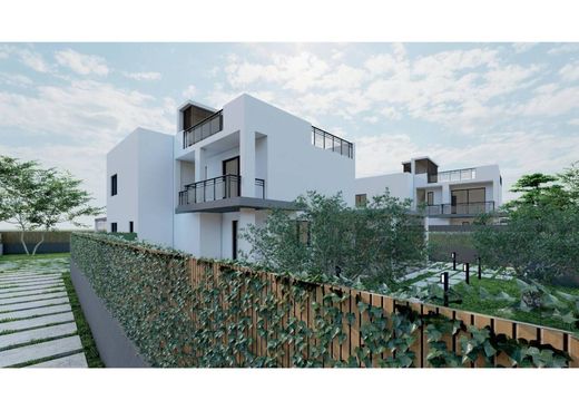 Вилла, Палермо, Palermo