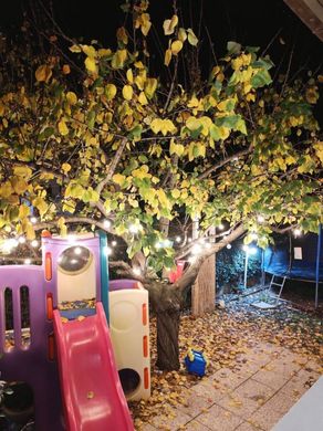 빌라 / Ladispoli, 로마