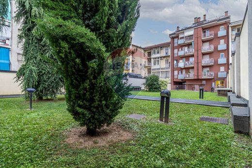 Penthouse in Turin, Piedmont