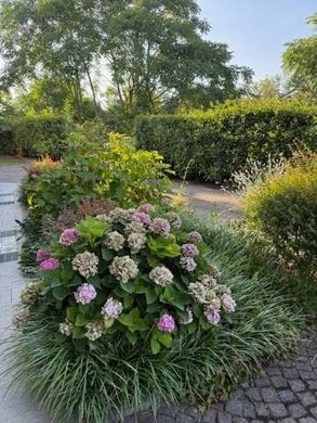 Casa di lusso a Parma, Emilia-Romagna