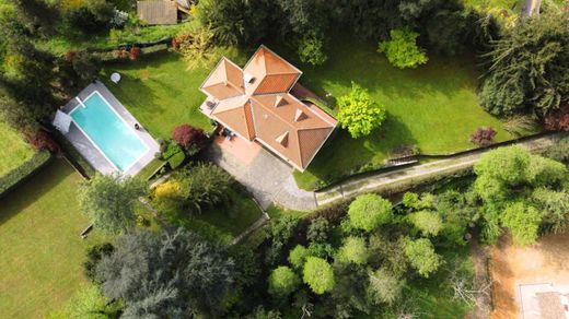 Villa Camaiore, Lucca ilçesinde