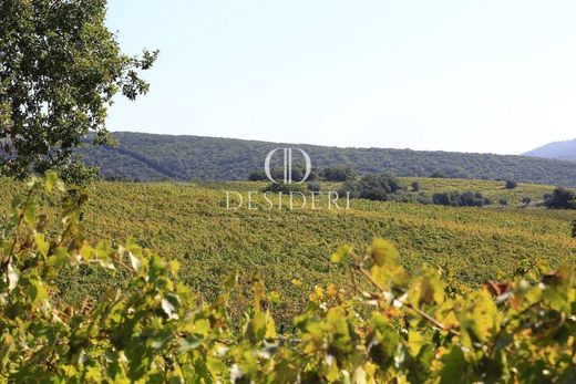 منزل ريفي ﻓﻲ Magliano in Toscana, Provincia di Grosseto