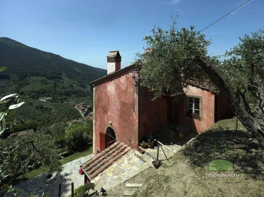 Calci, Province of Pisaのカントリーハウス