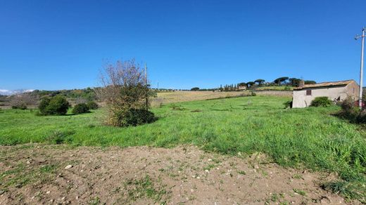 컨트리하우스 / Grottaferrata, 로마