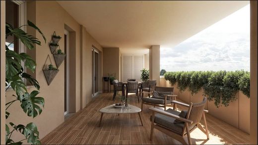 Penthouse Roma, Lazio bölgesinde