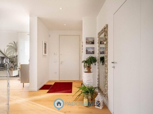 Villa Borgoricco-San Michele delle Badesse-Sant'Eufemia, Padova ilçesinde