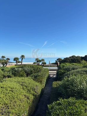 Лэйнхаус, Stintino, Provincia di Sassari