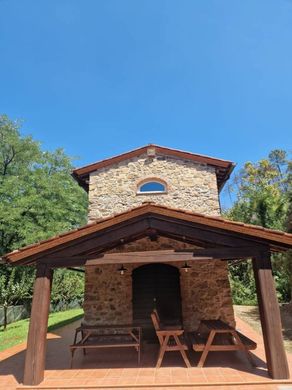 Köy evi Camaiore, Lucca ilçesinde