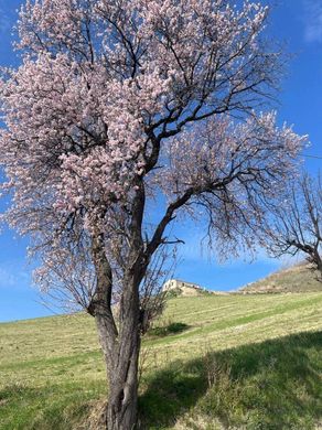 Casa de campo en Ripatransone, Provincia di Ascoli Piceno