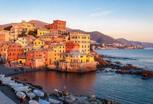 Daire Cenova, Genova ilçesinde