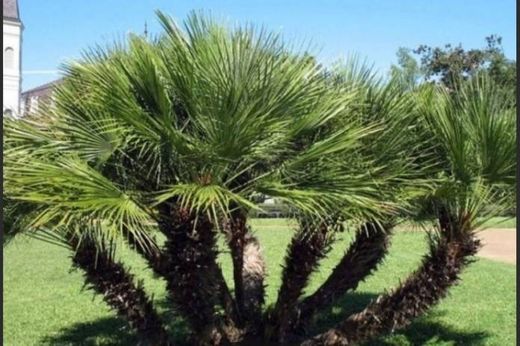 Villa in Pescara, Provincia di Pescara