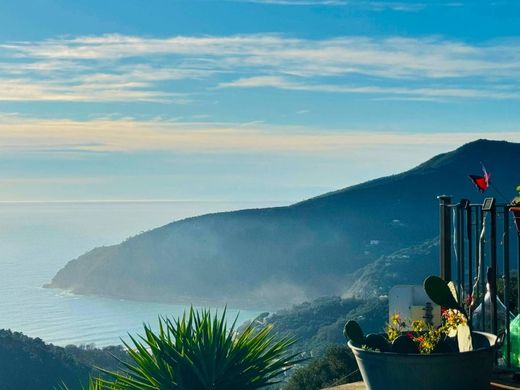 Villa Moneglia, Genova ilçesinde