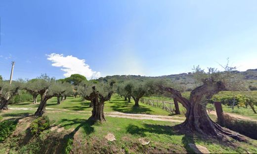 Villa à Castagneto Carducci, Livourne