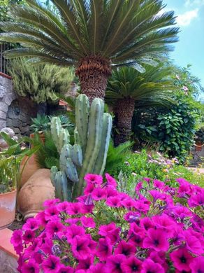 Villa - Serrara Fontana, Nápoles