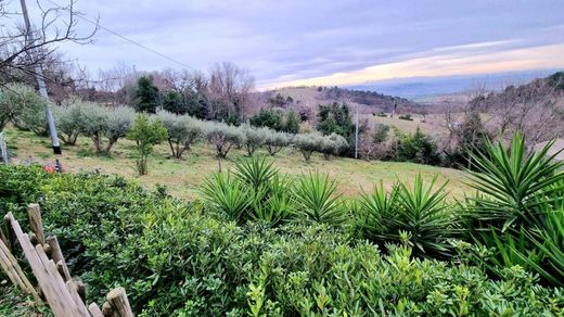 빌라 / Ancona, Provincia di Ancona