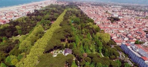 Вилла, Виареджио, Provincia di Lucca