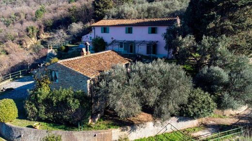 Country House in San Giuliano Terme, Pisa