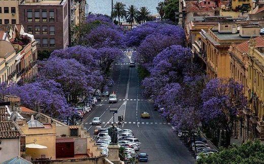 Ρετιρέ σε Cagliari, Provincia di Cagliari