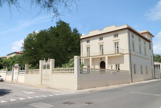 Ρετιρέ σε Λιβόρνο, Provincia di Livorno