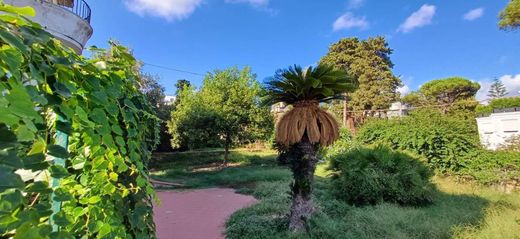 ﻓﻴﻼ ﻓﻲ نابولي, Napoli