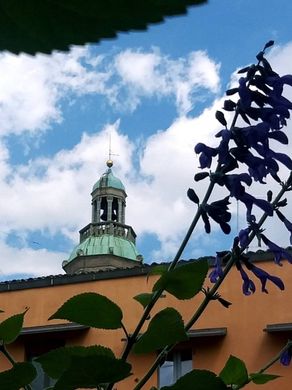 ﺷﻘﺔ ﻓﻲ بولونيا, Bologna