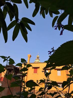 Apartment in Bologna, Emilia-Romagna