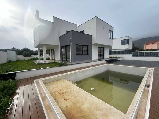 Вилла, Палермо, Palermo