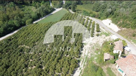 Country House in Carrù, Provincia di Cuneo