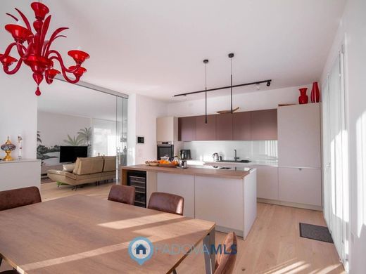 Villa - Borgoricco, Pádua