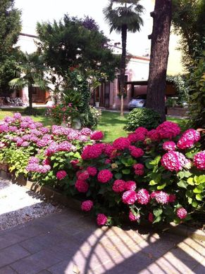 Apartment in Padua, Veneto