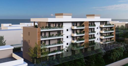 阁楼  Senigallia, 安科纳省