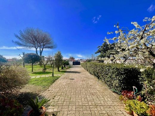 Villa in Rome, Latium