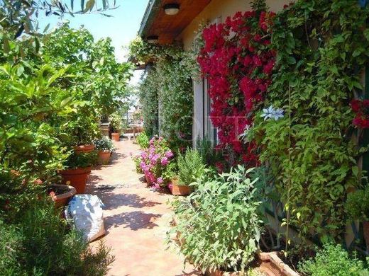 Penthouse w Rzym, Lazio