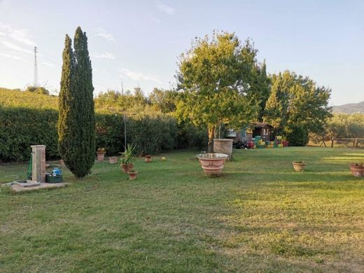 Country House in Vinci, Florence