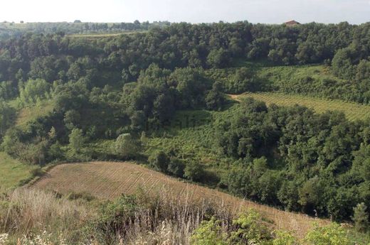 Propriété de campagne à Rocca San Giovanni, Provincia di Chieti