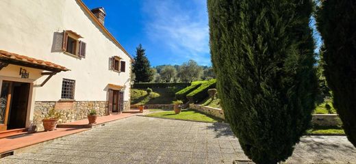 Pontassieve, Province of Florenceのカントリーハウス