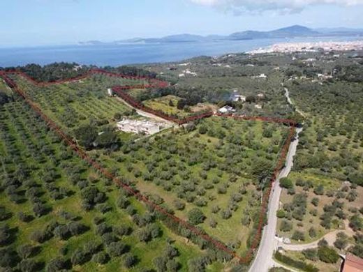 Villa in Alghero, Provincia di Sassari