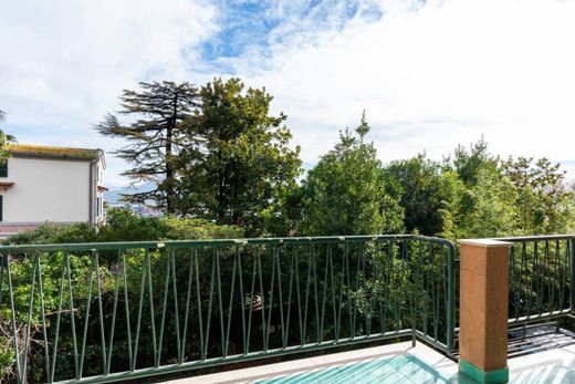 Daire Napoli, Napoli ilçesinde