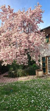 Villa in Cassina de' Pecchi, Milan