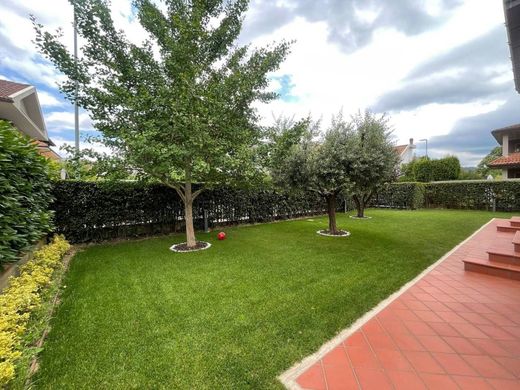 Willa w Ascoli Piceno, Provincia di Ascoli Piceno