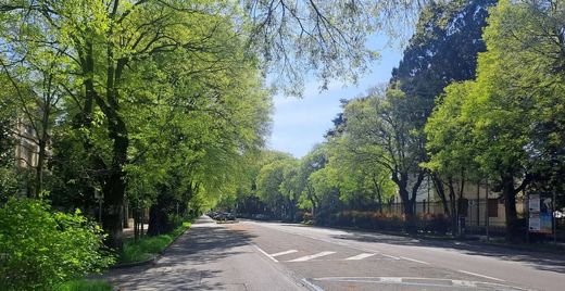 Пентхаус, Модена, Provincia di Modena