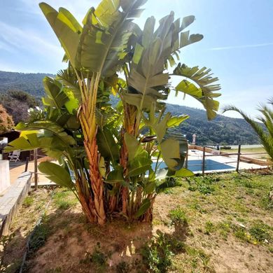 Villa a Vallebona, Imperia