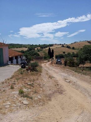 Landsitz in Grosseto, Provincia di Grosseto