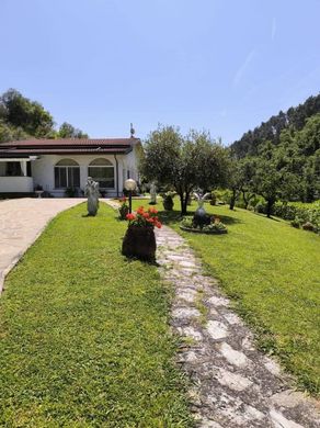 Villa a Massa, Massa-Carrara