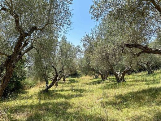 Villa in Canino, Provincia di Viterbo