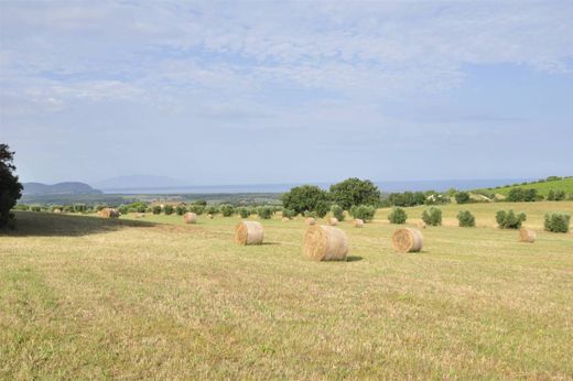 Landsitz in Campiglia Marittima, Provincia di Livorno